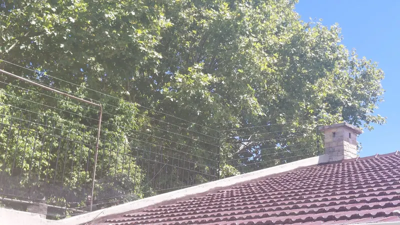 Cerco Eléctrico